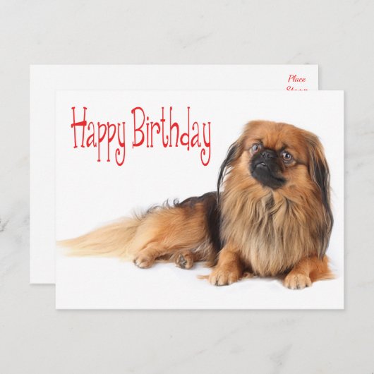 Gelukkige Verjaardag Puppy Rood Hond Briefkaart (Voorkant / Achterkant)