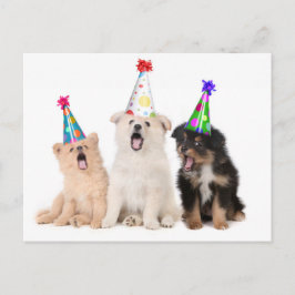 Gelukkige verjaardag puppy's briefkaart