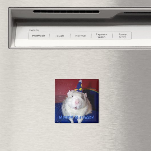 Gelukkige Verjaardag Rat Magnet (Insitu (Vaatwasser))