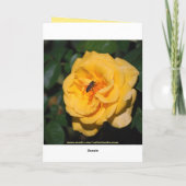 Gelukkige Verjaardag Rood en Geel Rose Kaart (Achterkant)