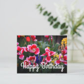 Gelukkige Verjaardag Rood en Witte Tulpen Briefkaa Briefkaart (Staand voorkant)