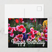 Gelukkige Verjaardag Rood en Witte Tulpen Briefkaa Briefkaart (Voorkant / Achterkant)