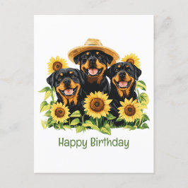Gelukkige verjaardag Rottweiler honden Zonnebloeme Briefkaart