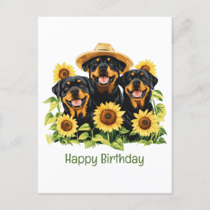 Gelukkige Verjaardag Rottweiler Honden Zonnebloeme Briefkaart