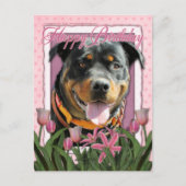 Gelukkige Verjaardag - Rottweiler - SambaParTi Briefkaart (Voorkant)