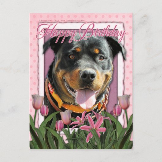 Gelukkige Verjaardag - Rottweiler - SambaParTi Briefkaart (Voorkant)
