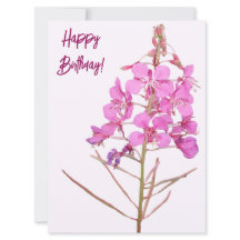 Gelukkige verjaardag  roze wilde bloem bloemen