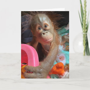 Gelukkige Verjaardag Schattige Baby Orangutan Kaart