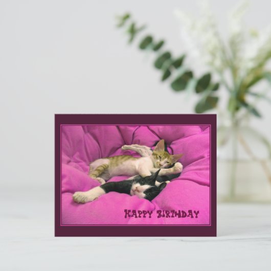 Gelukkige Verjaardag schattige katten Briefkaart (Staand voorkant)