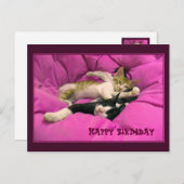 Gelukkige Verjaardag schattige katten Briefkaart (Voorkant / Achterkant)