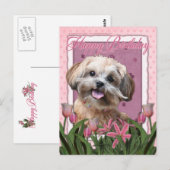 Gelukkige Verjaardag - ShihPoo - Maggie Briefkaart (Voorkant / Achterkant)