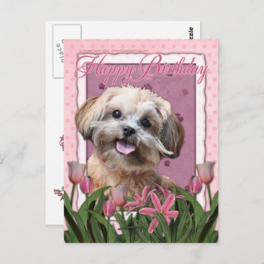 Gelukkige Verjaardag - ShihPoo - Maggie Briefkaart (Voorkant / Achterkant)