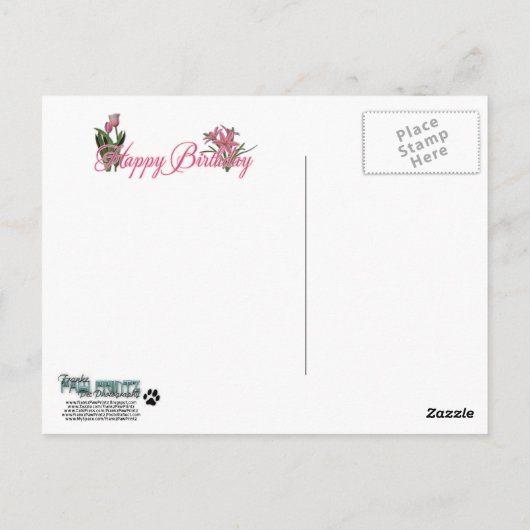 Gelukkige Verjaardag - ShihPoo - Maggie Briefkaart (Achterkant)