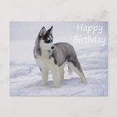 Gelukkige Verjaardag Siberische Husky Puppy Dog Po Briefkaart (Voorkant)
