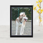 Gelukkige Verjaardag Siberische Husky wenskaart Kaart (Gele Bloem)