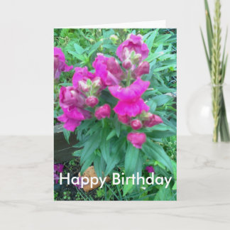 Gelukkige verjaardag. Snapdragon bloem. Kaart