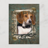 Gelukkige Verjaardag - Stone Paws - Beagle Briefkaart (Voorkant)