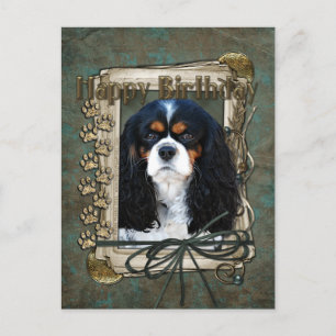 Gelukkige Verjaardag - Stone Paws - Cavalier Briefkaart