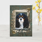 Gelukkige Verjaardag - Stone Paws - Cavalier Kaart (Gele Bloem)