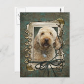Gelukkige Verjaardag - Stone Paws - GoldenDoodle Briefkaart (Voorkant / Achterkant)