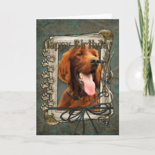 Gelukkige Verjaardag - Stone Paws - Ierse Setter Kaart