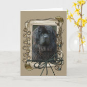 Gelukkige Verjaardag - Stone Paws - Newfoundland Kaart (Gele Bloem)