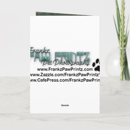 Gelukkige Verjaardag - Stone Paws - West Highland  Kaart (Achterkant)