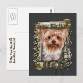 Gelukkige verjaardag - Stone Paws - Yorkshire Terr Briefkaart (Voorkant / Achterkant)