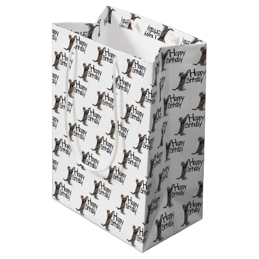 Gelukkige verjaardag Tabby kat plezier Medium Cadeauzakje (Achterkant Gekanteld)
