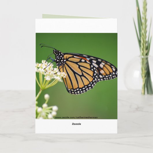 Gelukkige Verjaardag Thea Monarch Butterfly Kaart (Achterkant)