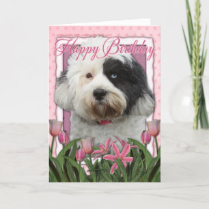 Gelukkige Verjaardag - Tibetan Terrier Kaart
