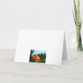 Gelukkige Verjaardag - Tulpen Kaart (Achterkant)