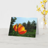 Gelukkige Verjaardag - Tulpen Kaart (Gele Bloem)