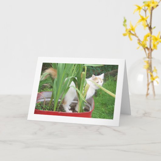 GELUKKIGE VERJAARDAG - TURKSE VAN LIEFDEVOLLE WENS KAART (Gele Bloem)