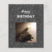 Gelukkige verjaardag. Tuxedo-kat met een roos. (Voorkant)