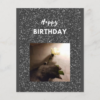 Gelukkige verjaardag. Tuxedo-kat met een roos.