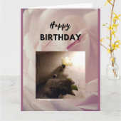 Gelukkige verjaardag. Tuxedo-kat met een roos. Kaa Kaart (Gele Bloem)