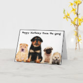 Gelukkige verjaardag van de bende Puppies wenskaar Kaart (Gele Bloem)