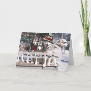 Gelukkige Verjaardag van de Groep, Huskies Kaart