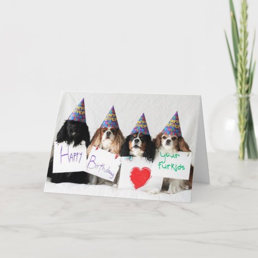 Gelukkige Verjaardag van de Hond Cavaliers van de Kaart (Voorkant)