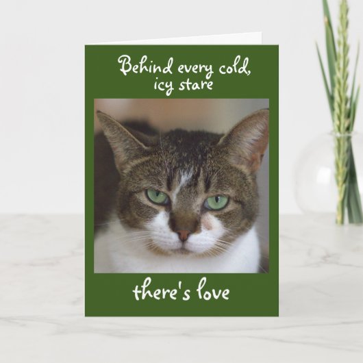 Gelukkige verjaardag van de kat kaart (Voorkant)