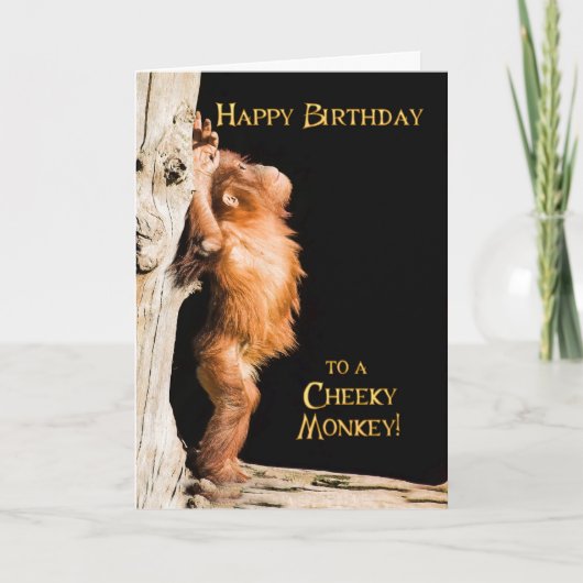 Gelukkige verjaardag van een baby orang utan kaart (Voorkant)