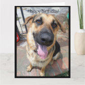Gelukkige verjaardag van een jonge Duitse herder Kaart (Voorkant)