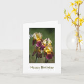 Gelukkige verjaardag van een mooie vrouw kaart (Gele Bloem)