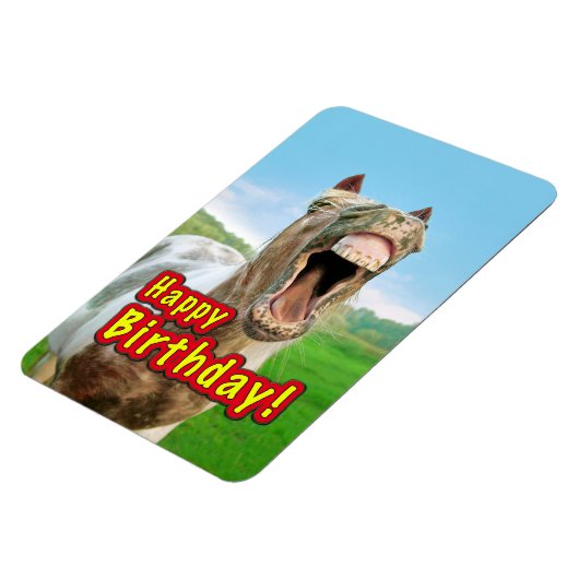 Gelukkige Verjaardag van het gelukkige paard Magneet (Linkerzijde)