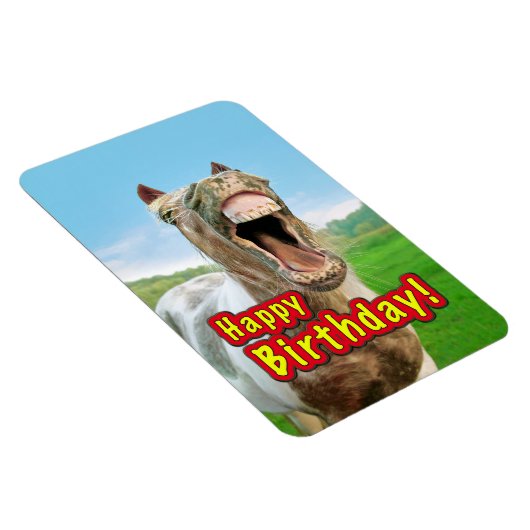 Gelukkige Verjaardag van het gelukkige paard Magneet (Rechterzijde)