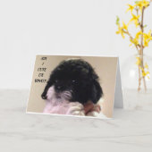 GELUKKIGE "VERJAARDAG" VAN SCHATTIGE SHIH TZU PUP KAART (Gele Bloem)