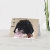 GELUKKIGE "VERJAARDAG" VAN SCHATTIGE SHIH TZU PUP KAART (Voorkant)