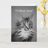 Gelukkige Verjaardag Verbaasde Kat Met Nek Ruff Kaart (Gele Bloem)