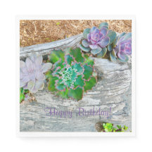 Gelukkige verjaardag vetplanten op drijfhout